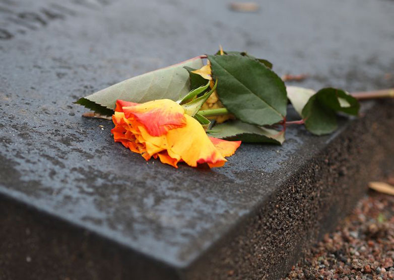 Flower on Grave